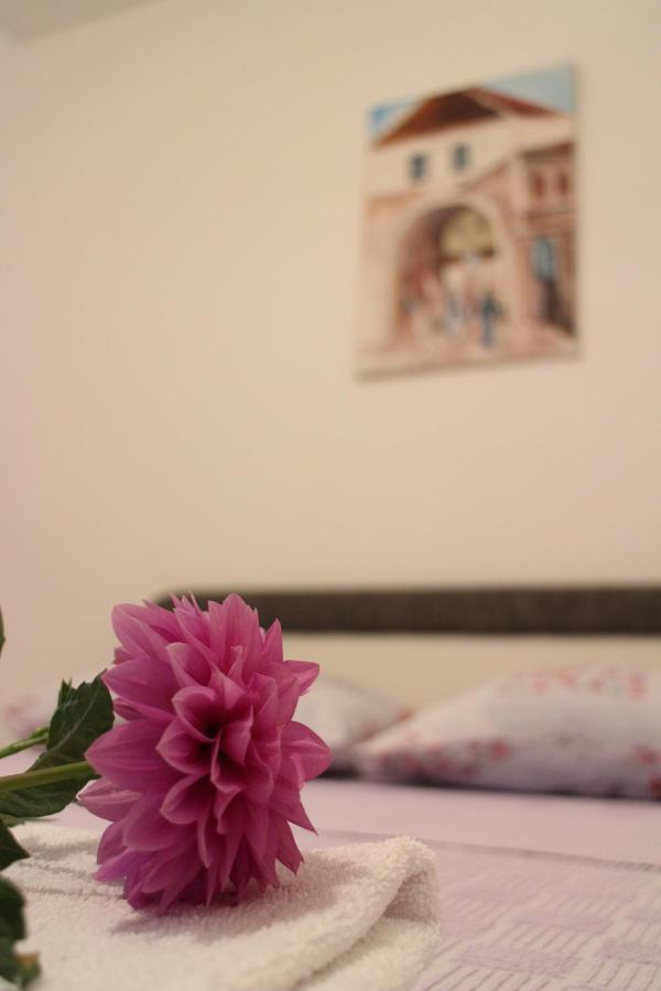 Apartman Anja Τρέμπινιε Εξωτερικό φωτογραφία