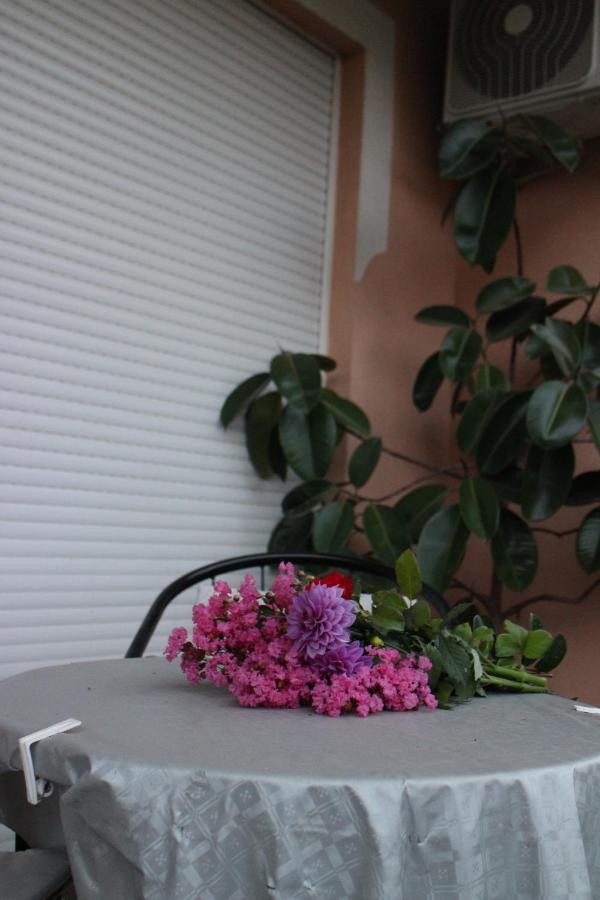 Apartman Anja Τρέμπινιε Εξωτερικό φωτογραφία
